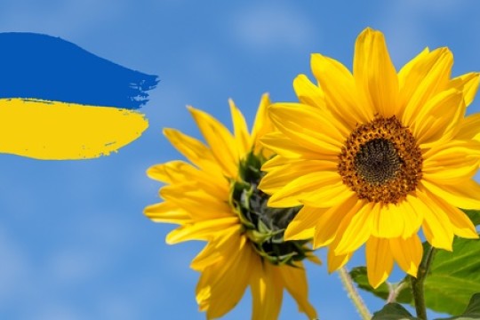 How European Lotteries are Helping Ukraine