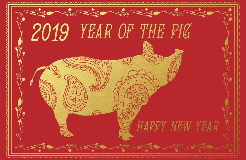 chinese new year pig