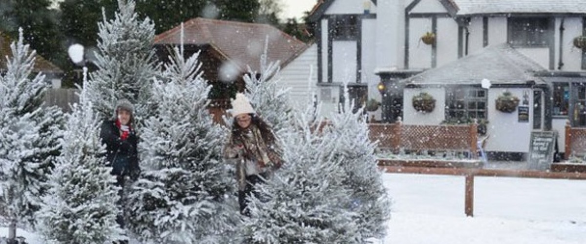 Dreaming of a White Christmas and a EuroMillions win