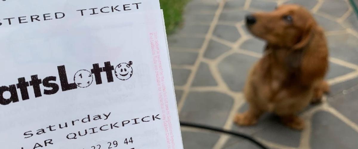 Shocks Galore For $2.5 million Saturday Lotto Winners