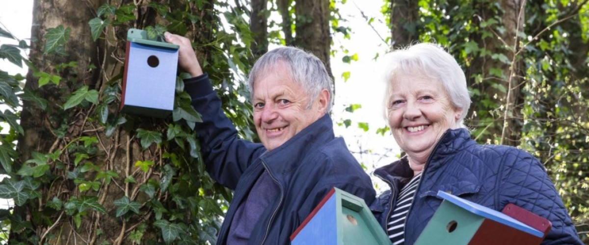 UK Lotto Winners Busy Building Bird Nesting Boxes