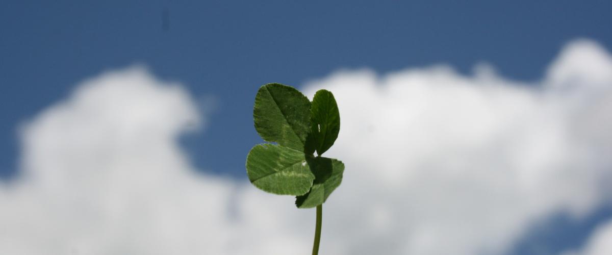 Busting Myths and Unlocking Success in Lotto 6 aus 45