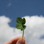 Busting Myths and Unlocking Success in Lotto 6 aus 45